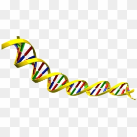 Dna Double Helix Png Transparent Png , Png Download - Dna Double Helix Transparent, Png Download - double helix png