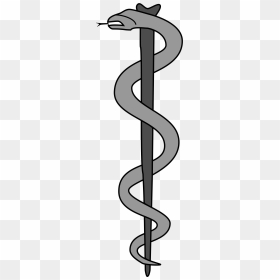 Transparent Rod Of Asclepius Png - Hippokratova Hůl, Png Download - rod of asclepius png
