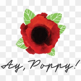 Logo - Poppy, HD Png Download - poppy flower png