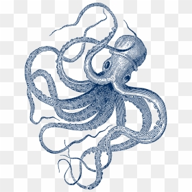 Vintage Octopus Illustration, HD Png Download - octopus tentacles png