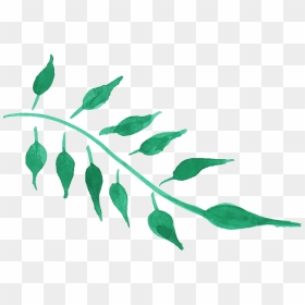 Free Green Leaf Watercolor Png , Png Download - Png Watercolor, Transparent Png - green watercolor png