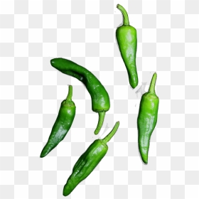De Pimientos De Padron Zijn De Typisch Spaanse Tapas - Pimientos De Padron Png, Transparent Png - green pepper png
