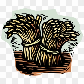 Vector Illustration Of Wheat Sheaves Sheaf Bundles - Sheaves Of Wheat, HD Png Download - wheat vector png