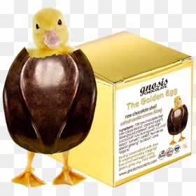 Golden Egg Png, Transparent Png - golden egg png