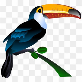 Resultado De Imagem Para - Toucan Vector Art, HD Png Download - tucan png