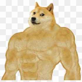 #doge #dogge #strong #buff #meme #shitpost #nobackground - Swole Doge, HD Png Download - doge meme png