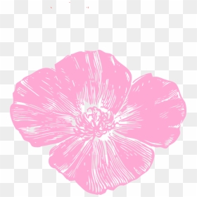 Pink Poppy Clipart, HD Png Download - poppy flower png