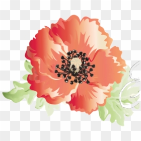 Top Img, Abstract Poppies - Clip Art, HD Png Download - poppy flower png