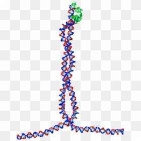 A Tetrahedral Dna Cage As Made By The Group Of Chengde, HD Png Download - double helix png