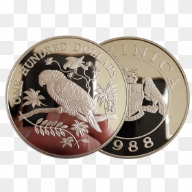 Coin, HD Png Download - 100 dollars png