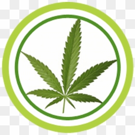 Marijuana Leaf, HD Png Download - pile of weed png