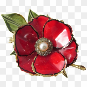 Rose, HD Png Download - poppy flower png