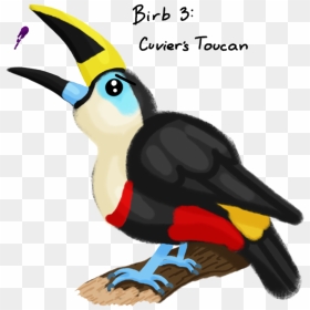 Collection Of Free Birds Download On Ubisafe - Toucan, HD Png Download - tucan png