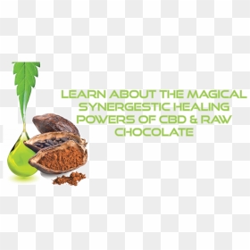 Natural Foods, HD Png Download - pile of weed png