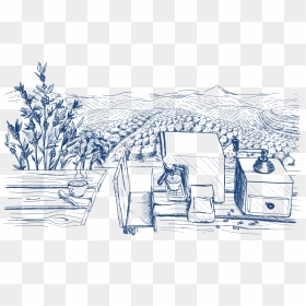 Sketch, HD Png Download - barista png