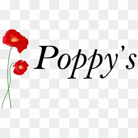 Georgann Johnson, HD Png Download - poppy flower png