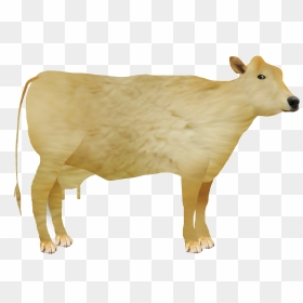 Dairy Cattle Animal Figure Cow-goat Family - Dairy Cow, HD Png Download - doge meme png