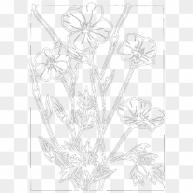 Remembrance Day Poppy With Green For Hope Png Icons - Line Art, Transparent Png - poppy flower png