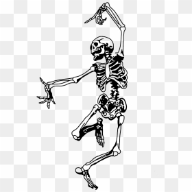 Transparent Funny Skeleton Png - Transparent Dancing Skeleton, Png Download - dancing skeleton png