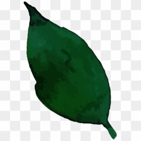 Tree, HD Png Download - green watercolor png