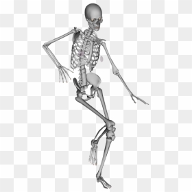Adelle Brownlee Brewer Page - Transparent Skeleton Dancing Png, Png Download - dancing skeleton png