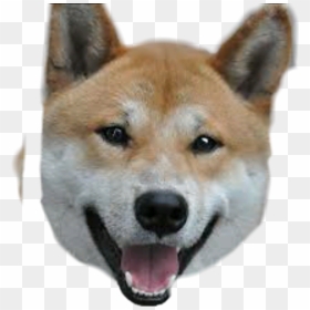 #meme #doge - Japanese Dogs Names, HD Png Download - doge meme png