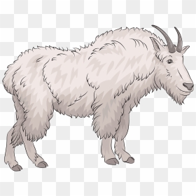 Mountain Goat Clipart, HD Png Download - goat face png