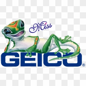 Geico Gecko , Png Download - Geico Gecko 1999, Transparent Png - geico gecko png