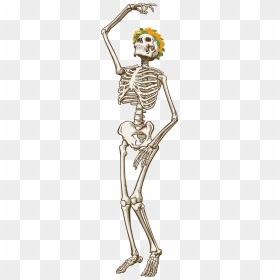 Skeletons Drawing Playing Guitar - Grateful Dead Dancing Skull, HD Png Download - dancing skeleton png