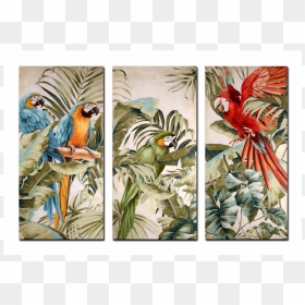 S/3 Frames "parrot-tucan - Painting, HD Png Download - tucan png