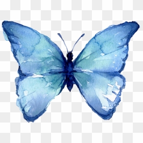 Butterfly Watercolor Art Png Photos - Watercolor Painting Easy Butterfly, Transparent Png - green watercolor png