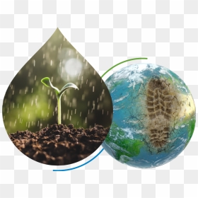Growplantsnotlandfills - Anthropocene Png, Transparent Png - pile of weed png