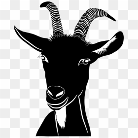 Goat Svg, HD Png Download - goat face png