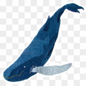 Humpback Whale , Png Download - Humpback Whale, Transparent Png - humpback whale png