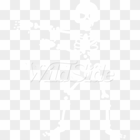 Transparent Floss Dance Clipart - Meme De Pierna Rota, HD Png Download - dancing skeleton png