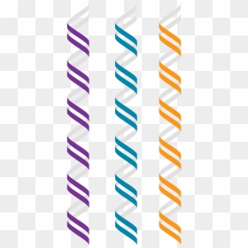 Z Dna Left Handed Double Helix Alternate Geometry Free - Hélice Adn Png, Transparent Png - double helix png