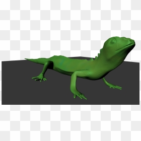 Transparent Geico Gecko Clipart - Carolina Anole, HD Png Download - geico gecko png