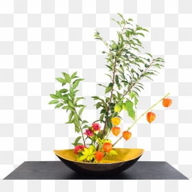 Chinese Lantern Plant Indoors , Png Download - 秋 生け花, Transparent Png - chinese lantern png