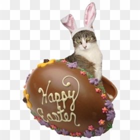 Easter Bunny Chocolate Png Free Download - Chocolate Easter Eggs, Transparent Png - easter frame png