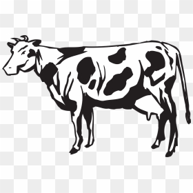 Herd Of Cattle Vector, HD Png Download - cow vector png