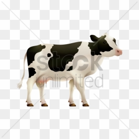 Transparent Calf Clipart - Dairy Cow, HD Png Download - cow vector png