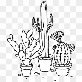 Drawing Cactus Pencil Transparent & Png Clipart Free - Black And White Aesthetic, Png Download - plant pngs