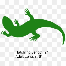 Lizard Clipart Geico - Lizard Tail Clip Art, HD Png Download - geico gecko png