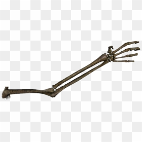 #skeleton #skeletonarm #arm #reaching #grabbing #grabyou - Antique Tool, HD Png Download - skeleton arm png