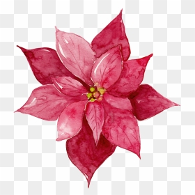 This Graphics Is Red Watercolor Flowers Free Matting - Maroon Flower Watercolor, HD Png Download - free watercolor flowers png