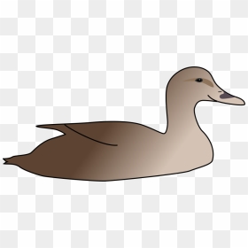 Duck Clipart Png For Web , Png Download - Clip Art, Transparent Png - duck clipart png