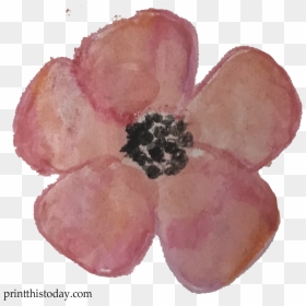 Watercolor Flower Clipart Free, HD Png Download - free watercolor flowers png