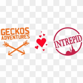 Geckos Adventures, HD Png Download - geico gecko png