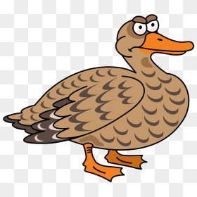 Duck Clipart, HD Png Download - duck clipart png