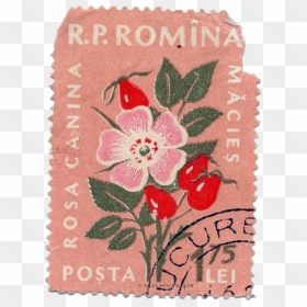 #stamp #vintagestamp #oldstamp #flower #flowers - Vintage Floral Postage Stamp, HD Png Download - flower bushes png
